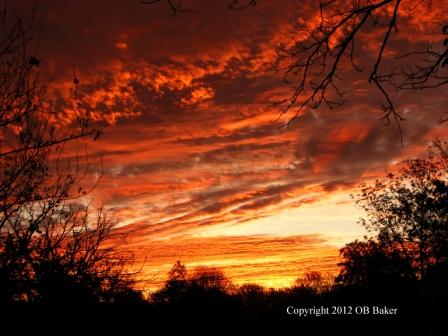 OB Baker Photos 11-2011 (20)CR Web.jpg