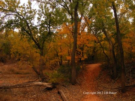 OB Baker Photos 11-2011 (16)CR Web.jpg