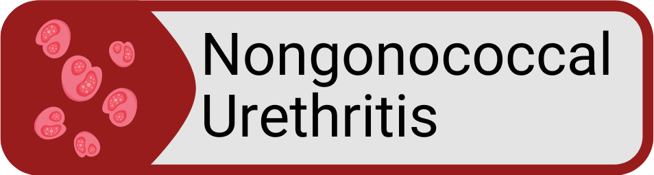 Button Nongonoccal Urethritis