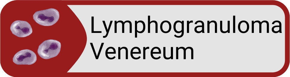 Button Lymphogranuloma Venereum