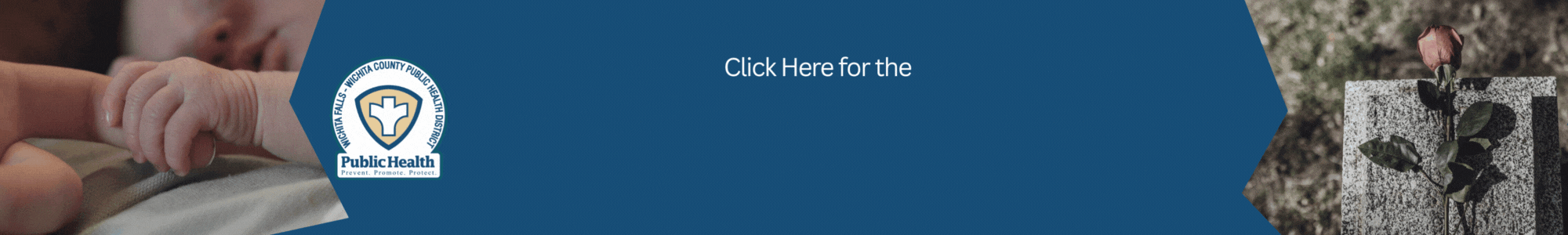 Vital Records Online Portal Button