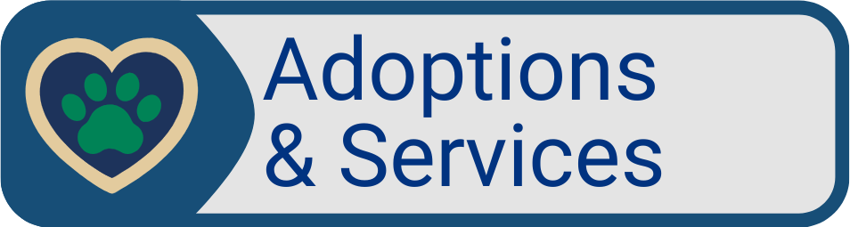 Button Adoptions and Services