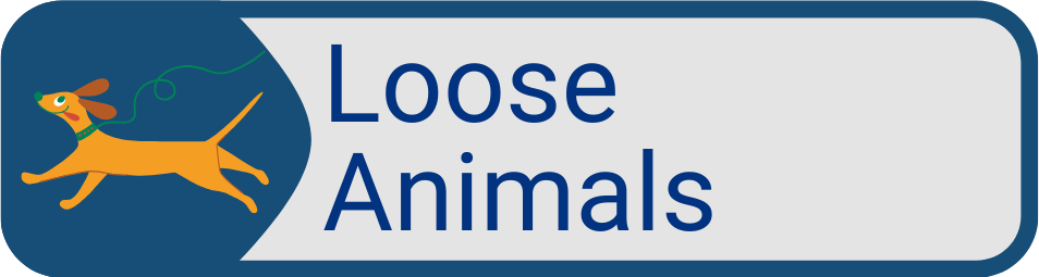 Button Loose Animals