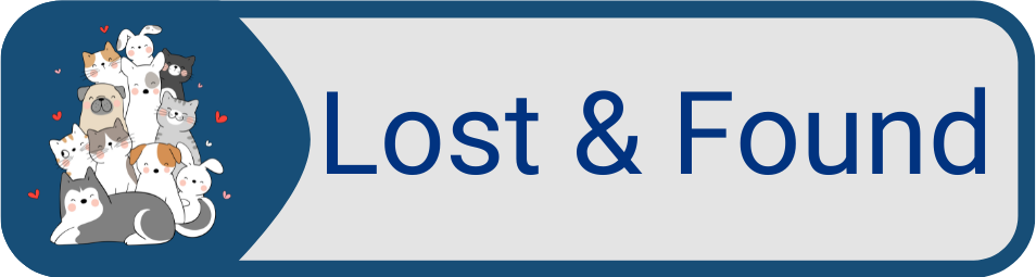 Button Lost and Found