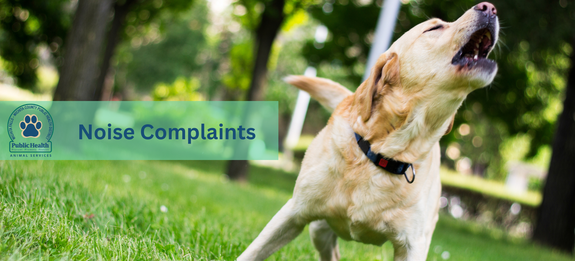 Noise Complaints Banner