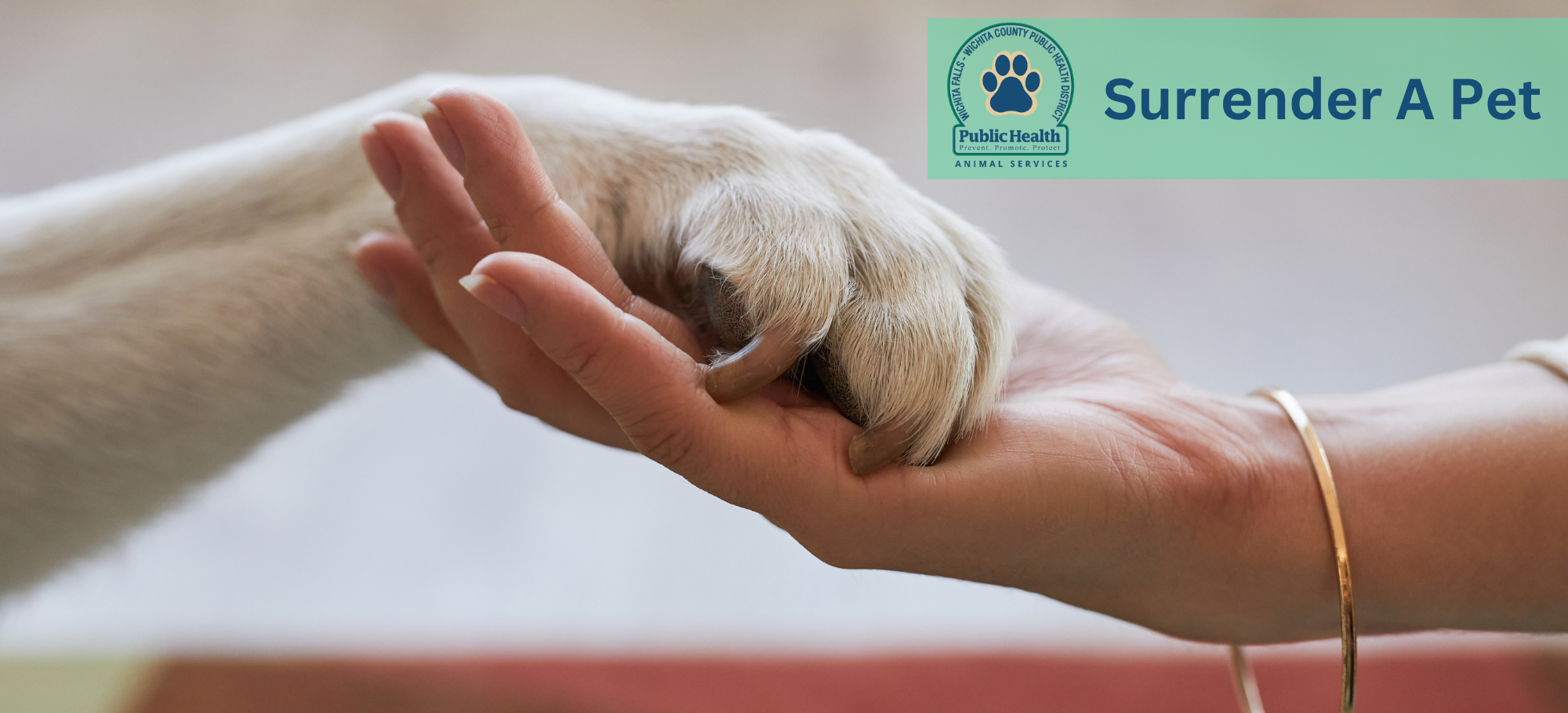 Animal Services subpage  Surrender a Pet