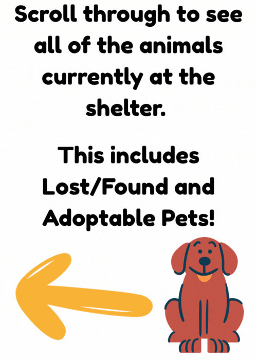 Lost and Found and Adoptable Pets text with arrow