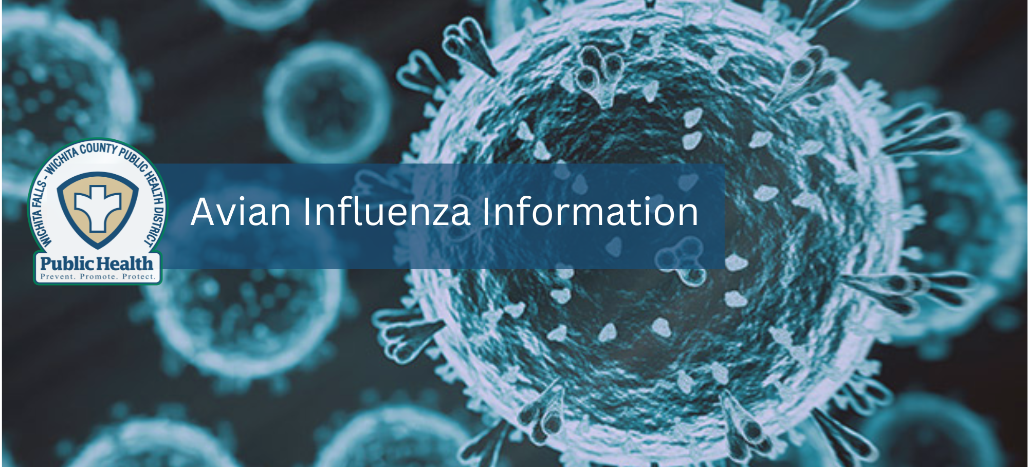 Avian Influenza Information Top Banner Only