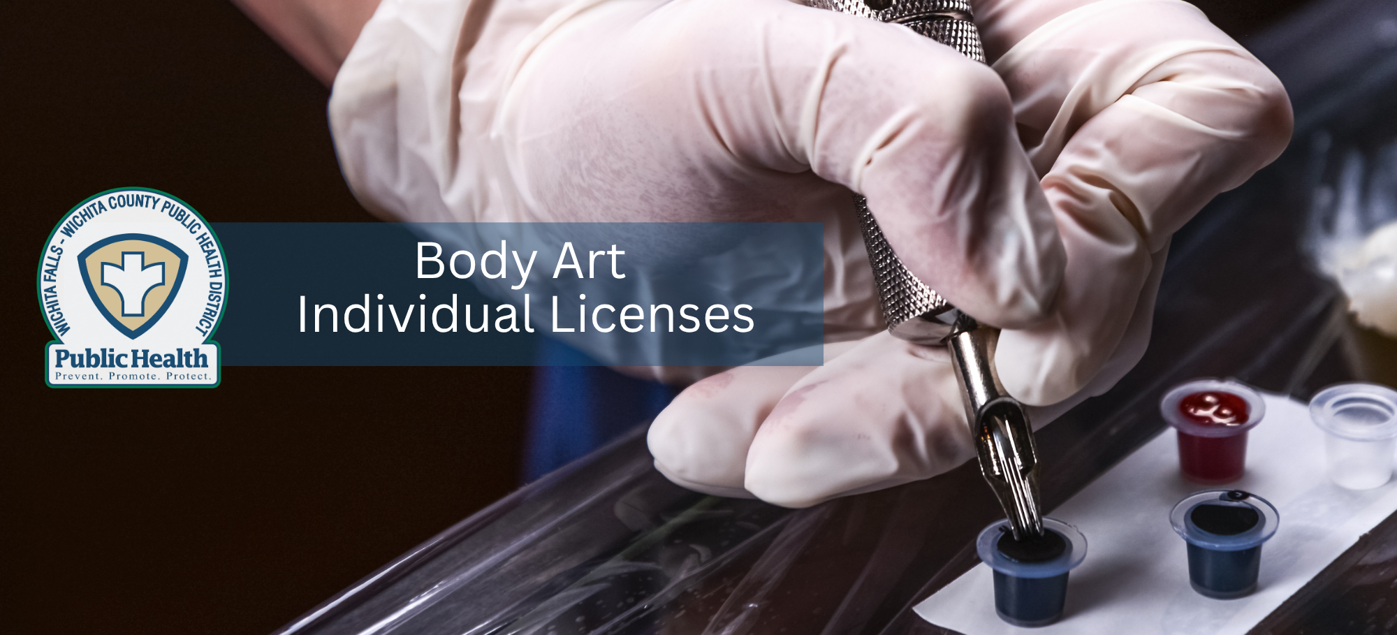Body Art Individual Licenses 1