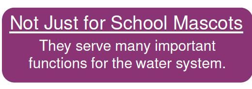 Water Tower Title Opens in new window